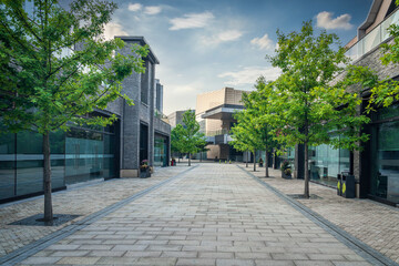 Serene Urban Street Surrounded by Lush Green Trees and Modern Architecture