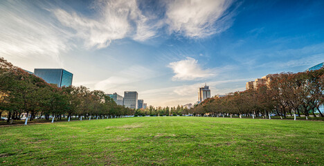 Urban Park with Skyscrapers and Open Green Space