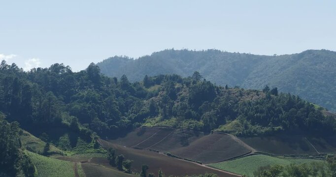 Mountainous agricultural landscape features layered farm fields with vibrant greenery and rich soil in a serene rural setting.