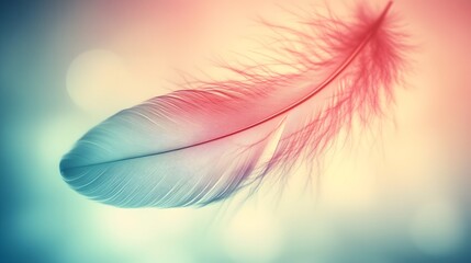 Naklejka premium Soft Pastel Feather Closeup Macro Photography