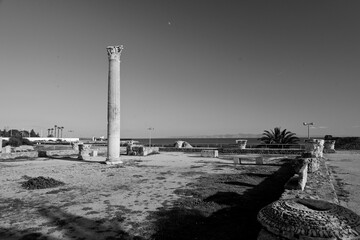 Il complesso archeologico con i resti delle Terme di Antonino, Area archeologica di Cartagine,...
