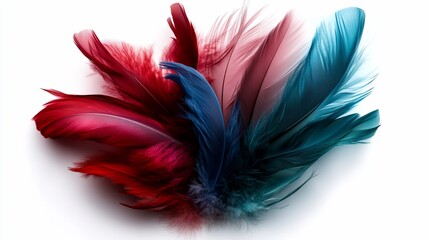 Obraz premium Vibrant Feathers: A Symphony of Color and Texture