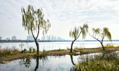 Tranquil Nature Meets Urban Skyline: A Serene Landscape Portrait