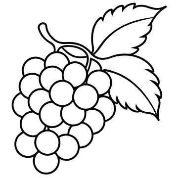 recommend clip art: grapes vine leaves outline white background