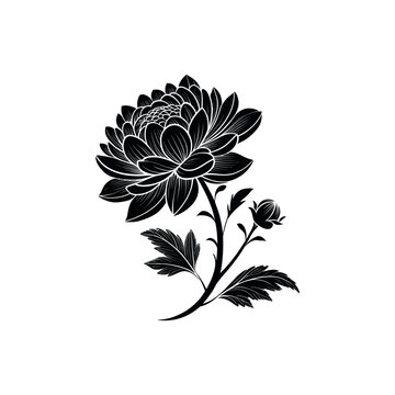 black chrysanthemum flower on white background clip art preview