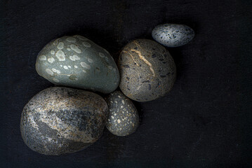 Various metamorphic rocks on a sheet of slate