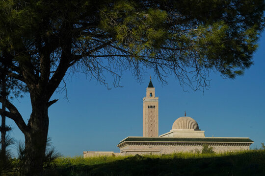 La monumentale moschea Malik Ibn Anas, Cartagine. TUNISIA