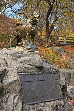 Balto sled dog hero (sculptor Frederick George Richard Roth) stands rock outcropping. Central Park, NYC