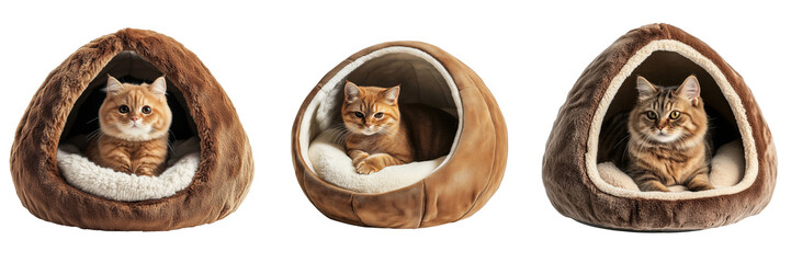 Cozy Cat Beds for Feline Comfort and Relaxation in Warm Tones