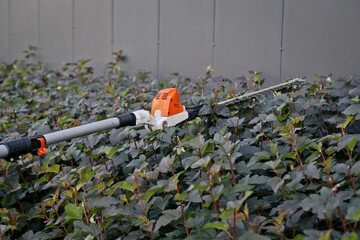  Spraying plants with a sprayer on a farm in the Netherlands