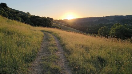 hillside path winding through grassy meadows at sunset