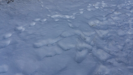 Winter in the mountains