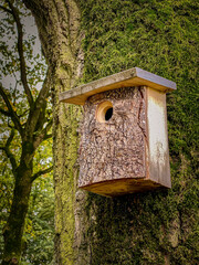 A birdhouse on a tree in the forest