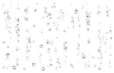 Oxygen air bubbles  flow  in water on white  background.