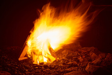 Vibrant campfire flames illuminate dark wilderness night with bright orange glow and dancing fire...
