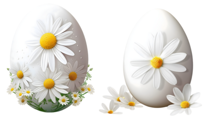 Easter eggs with daisies floral spring decoration on transparent background