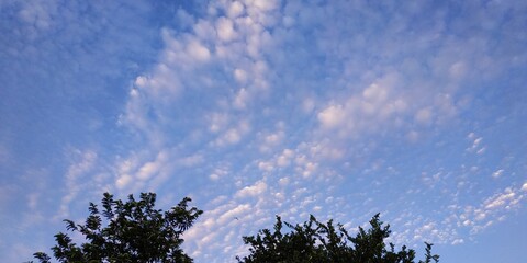 view of the bright sky during the day with trees that look black and charming clouds visible in front of the house