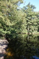 Kesselbruchweiher bei Frankfurt