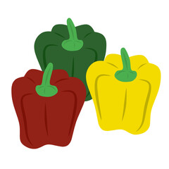 Vector illustration of Paprika in different colors, including red, yellow, green. Chili Bell Peppers or Capsicum.