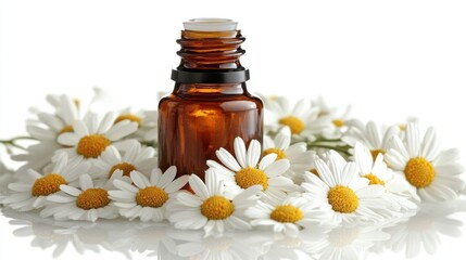 Brown bottle of chamomile essential oil surrounded by flowers on white background