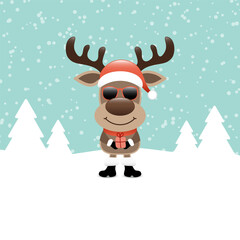 Rentier Sonnenbrille Mit Geschenk Im Schnee Türkis