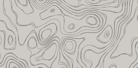 Fototapeta premium World Map Vintage Old-Style. Topographic map lines, contour background. Transparent PNG available. Blank Detailed, topo, gradient multicolor wave curve lines banner background. White wave paper curved