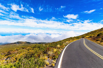The road to the Haleakala Hill