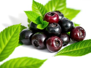 Dark and Red Cherries with Green Leaves