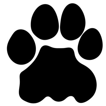 Lion paw. Footprint of lion