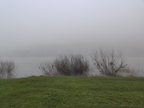 misty morning on the river