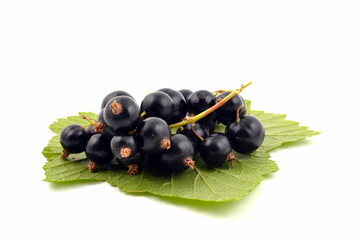 Black currant on green leaf isolated on white background.