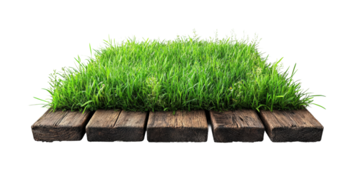 Green grass growing on wooden planks isolated on transparent background, png