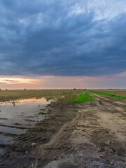 Road is shown with a cloudy sky in the background