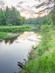 River with a lot of trees and grass on the bank