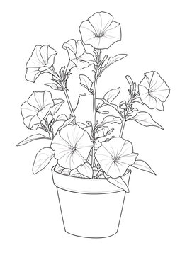 petunia flowers in pot outline clip art preview