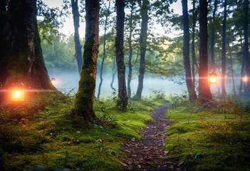 Obraz premium Enchanted forest with floating lanterns and mystical creatures hidden in the shadows, very detailed, full 8k wide focus