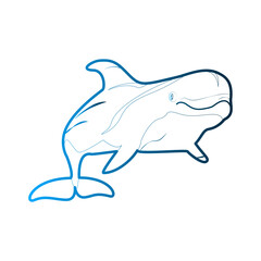 Obraz premium Dolphin icon design template