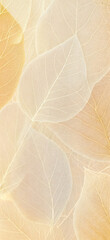 Transparent skeleton leaves creating delicate beige background texture