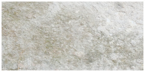Abstract white grunge dust texture concrete wall on white background Vector for banner and business.