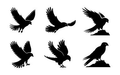 Obraz premium Powerful Hawk & Eagle Silhouette Set – Perfect for Logos, Prints and Digital Arts 