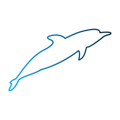 Dolphin icon design template
