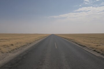 Naklejka premium A road through a field with the sun shining on the horizon