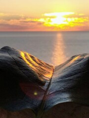 море и  камни