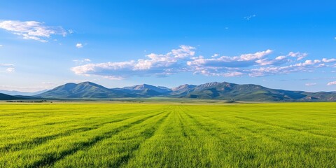 Fototapeta premium Vibrant green field stretches to distant mountains under a clear blue sky.