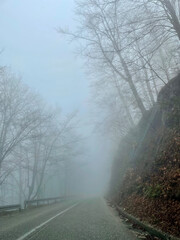 Obraz premium Fog Envelops Road in Mystical Silence