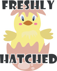 Cute Chick Freshly Hatched from Egg