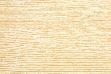 texture of wood use as natural background