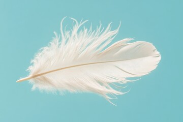 Soft White Feather Floating Gently on a Light Blue Background With Diffused Lighting in a Close-Up View