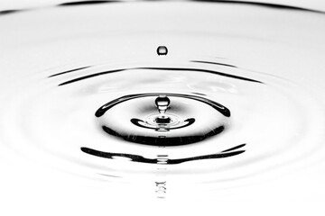 Black and white closeup shot on a drop of water hitting the surface of a water puddle taken with...
