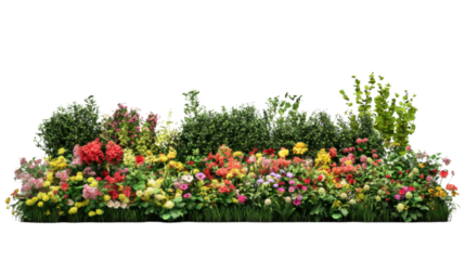 Colorful flower bed blooming with various species on transparent background